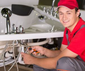 About The Faucet Pros Nelson, WI